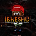 Ibheshu (feat. Babes Wodumo & Mampintsha)