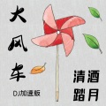 清酒踏月 - 群星-大风车