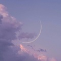 白糖 - 老公公老婆婆