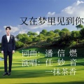 一抹茶香 - 又在梦里见到你