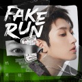 FAKE RUN