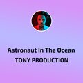 Astronaut In The Ocean
