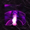 Lass sie gehen (Explicit)