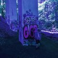 iDream Of Electric Sheep (Explicit)