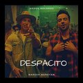 Naresh Narayan - Despacito