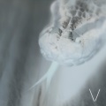 Chris Villon、Mind、Heárt - forgetting all about you (feat. Chris Villon)(Explicit)