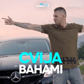 Cvija - Bahami