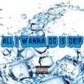 icewater - All I Wanna Do Is Drip (Explicit)