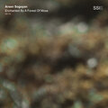 Arsen Sogoyan - Tears of the Spring Forest