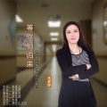 宋夏婷 - 等你们归来
