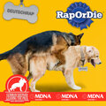 RAP OR DIE (Explicit)