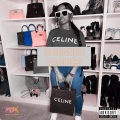 Dre Dimes、The Cash、Ash、BT - Designer Fabrics (Explicit)