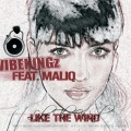 Maliq、Vibekingz - Like the Wind