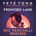 Promised Land (Nic Fanciulli Vocal Remix)