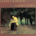 Quiet Storm (Album Version)