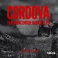Cordova、Boosie Badazz、RG - Passion (feat. RG & Boosie Badazz)(Explicit)