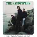 the sandpipers - The Drifter