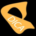 DICA - PAIN