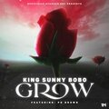 King Sunny BoBo、PG Brown - Grow (feat. PG Brown)(Explicit)