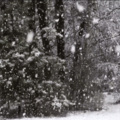 陈梦西 - Snowdreams