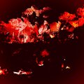 Ceres - Fall