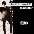 Sha Chandler、Skadanko Smokez、Zay Deano、Swag - Toolbox Killers (Explicit)