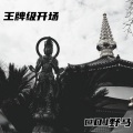 DJ野马 - 蹦迪卡点街拍首选 (DJ版)