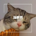 辞逸 - 后来