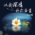 龙江辉 - 以我深情 许你白首