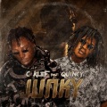 Junky (feat. Quincy)(Explicit)