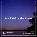 DJ Komang Rimex - Dj All Night x Ting Kawon