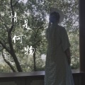 茶烨酱 - 情是何物