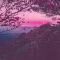 ABEL WYLDE - Before Spring Ends