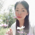 竹萱 - 晚霞中的红蜻蜓