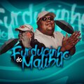 DJ MALIBU - MONTAGEM SOLTA ESSA PIRANHA VS VOLTEI PRAS PUTA (Explicit)