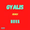 Capella Grey、Novabigsteppa - Gyalis (feat. Capella Grey)(Remix|Explicit)