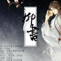 马英超 - 柳书