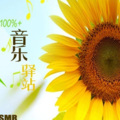 东山公子 - 黑蝙蝠中队