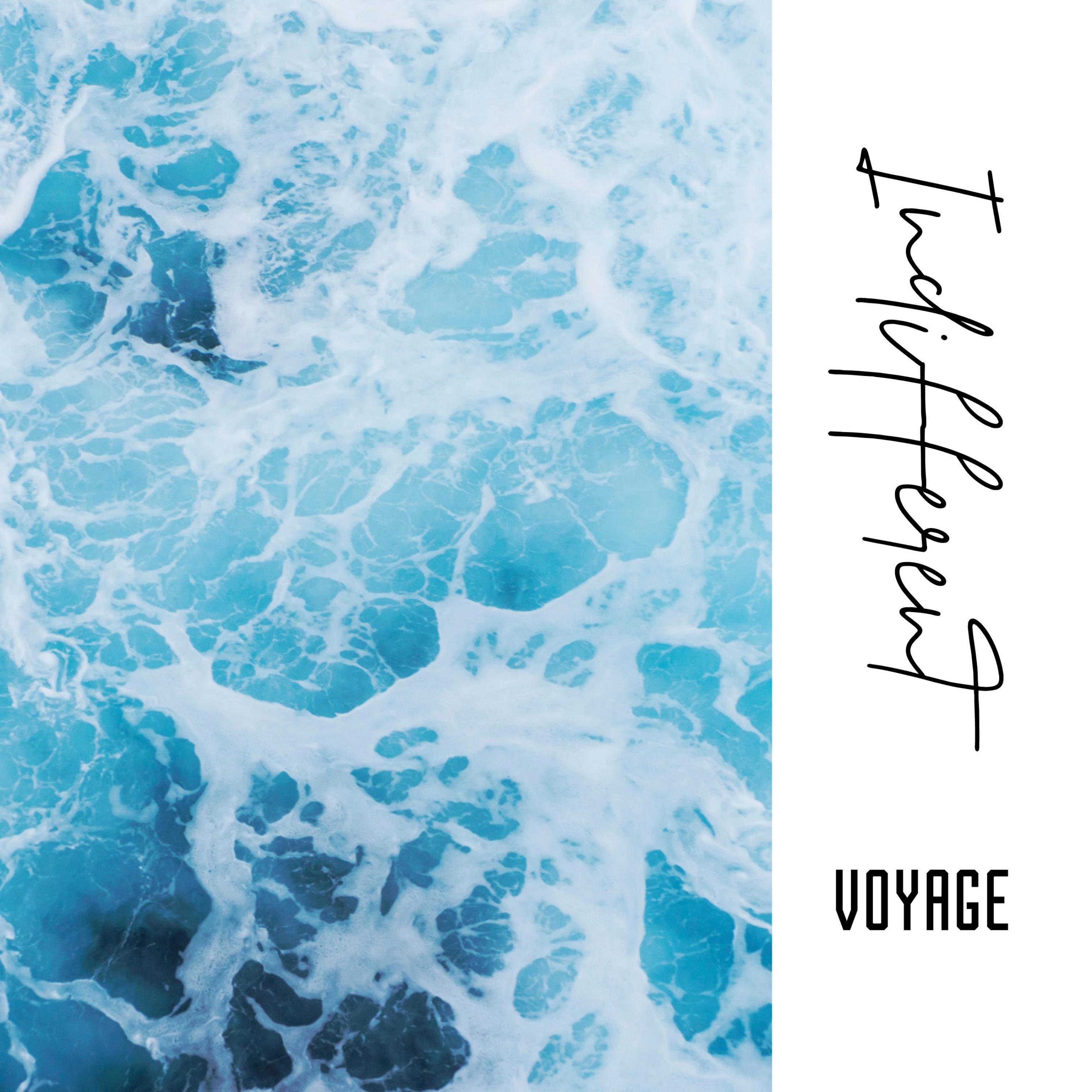 Voyage - Baby, You Need to Chill