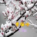 雪梅吟