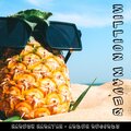 Naresh Narayan - Million Waves