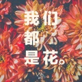 我们都是花