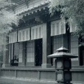 Kingsley凡 - 他乡