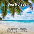Sea Noises for Relaxing, Bedtime, Studying, Ease of Mind