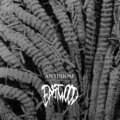 Eastwood - Plastiglomerat (Explicit)