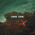 fake love