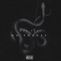 Woo Reyz、Bouba Savage、OnPointLikeOP、PNV Jay - No Snakes (Explicit)