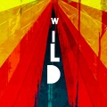 Wild (feat. Ramirez PinkPantheress & slchld)