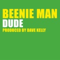 Dude (U.K. Radio Edit)