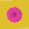 I Still Wonder (The New Division Remix)